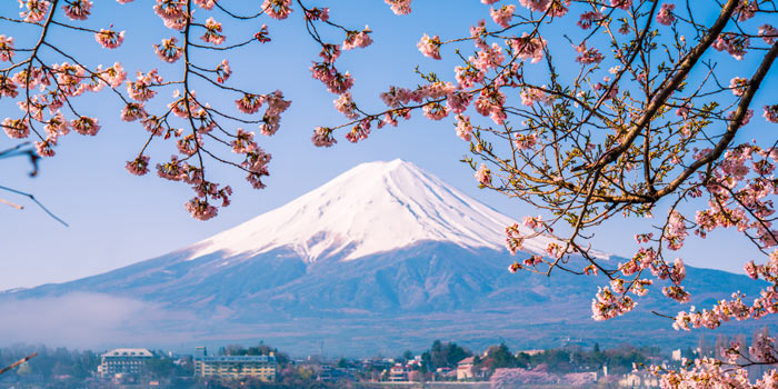 mount-fuji-main